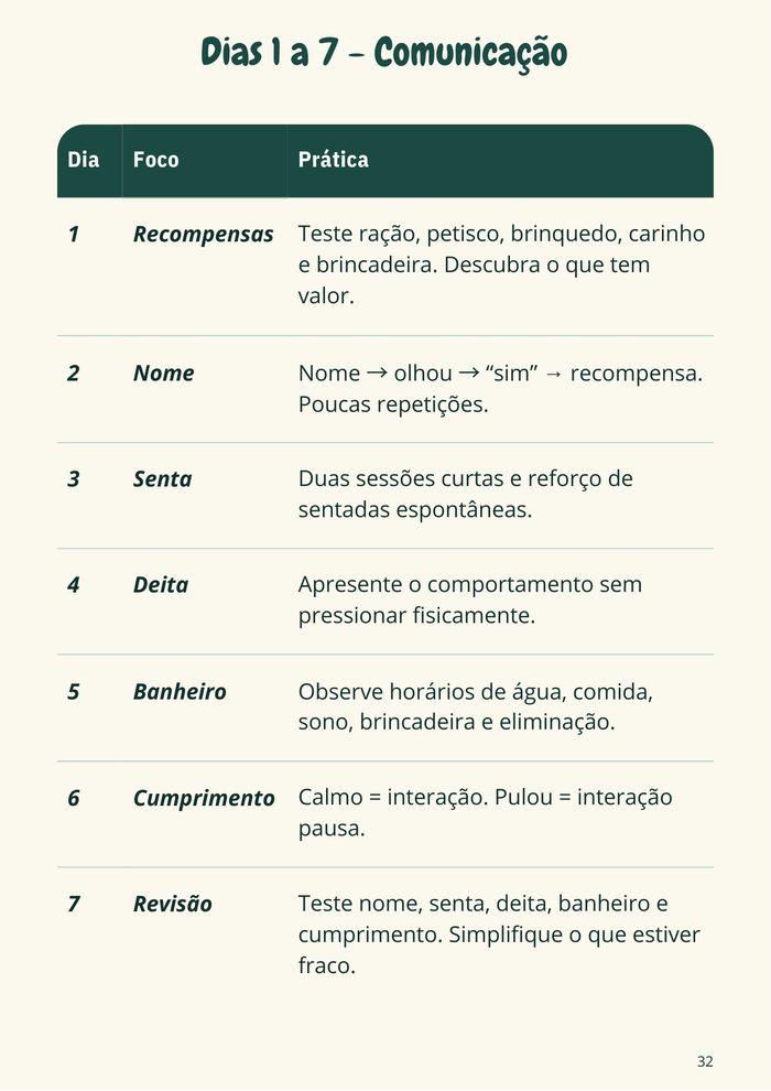Prévia: Dias 1 a 7, Comunicação